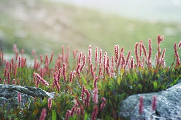 9年婚姻因老婆出轨破碎，我痛苦难收场，望大家引以为戒